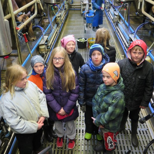 Sveitadagur hjá 5. og 6. bekk