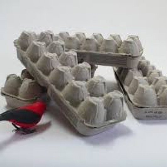 Okkur vantar eggjabakka og pappa!