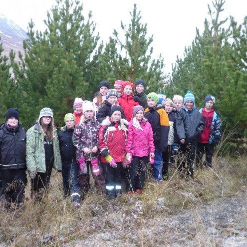 5. - 6. bekkur í fræsöfnun