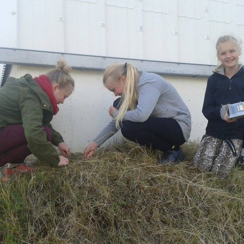 Útikennsla í náttúrufræði