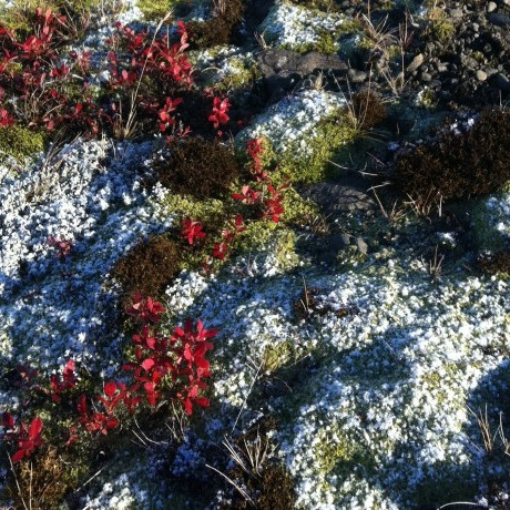 Skólastjórnendur í leyfi