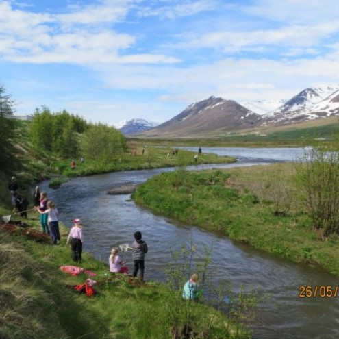 Frá útikennslu gærdagsins