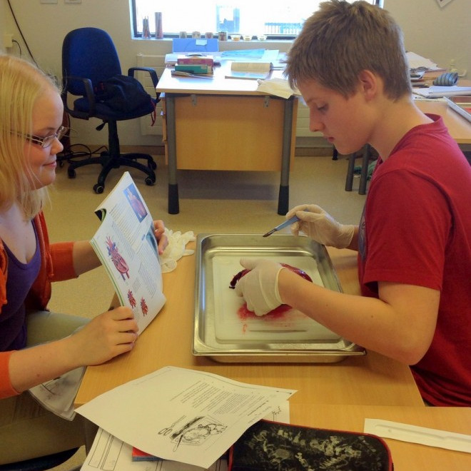 Náttúrufræði hjá 9. og 10. bekk