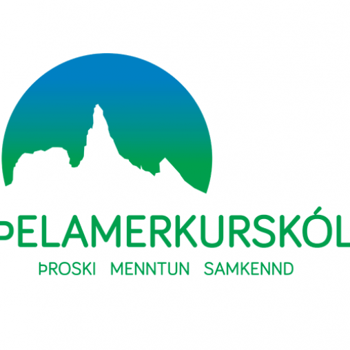 Myndir í Skólavörðunni