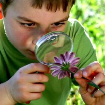 Kynningar á rannsóknum nemenda
