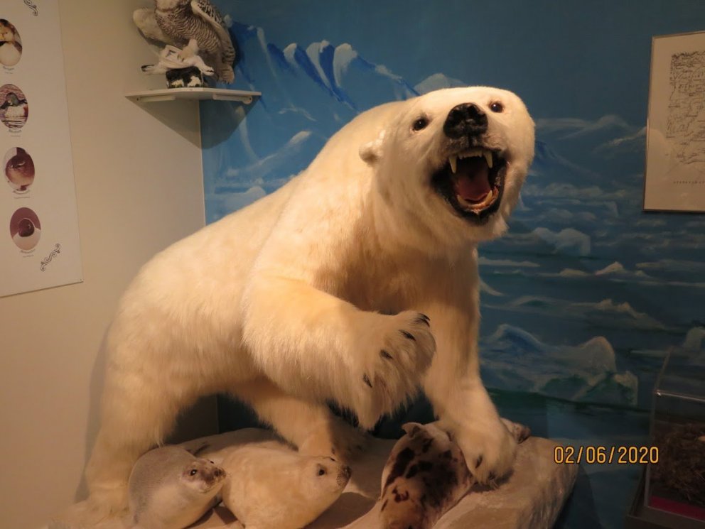 Vorferð skólans til Dalvíkur  - myndir