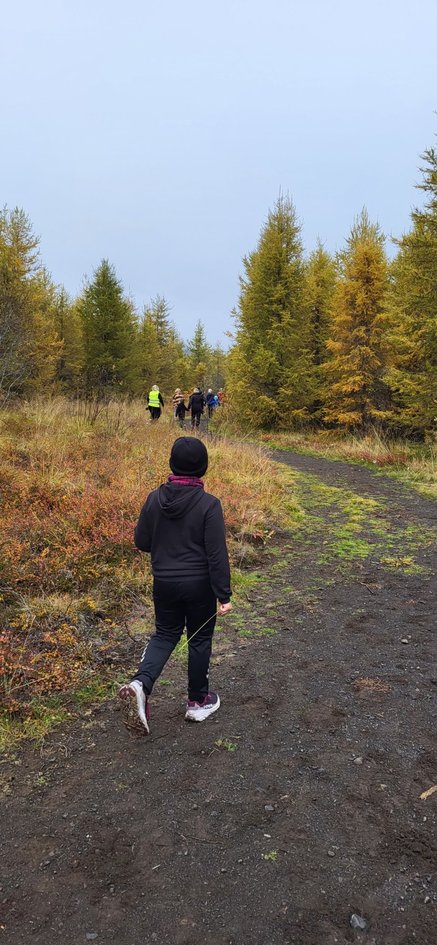 Skólahlaup í Hálsaskógi