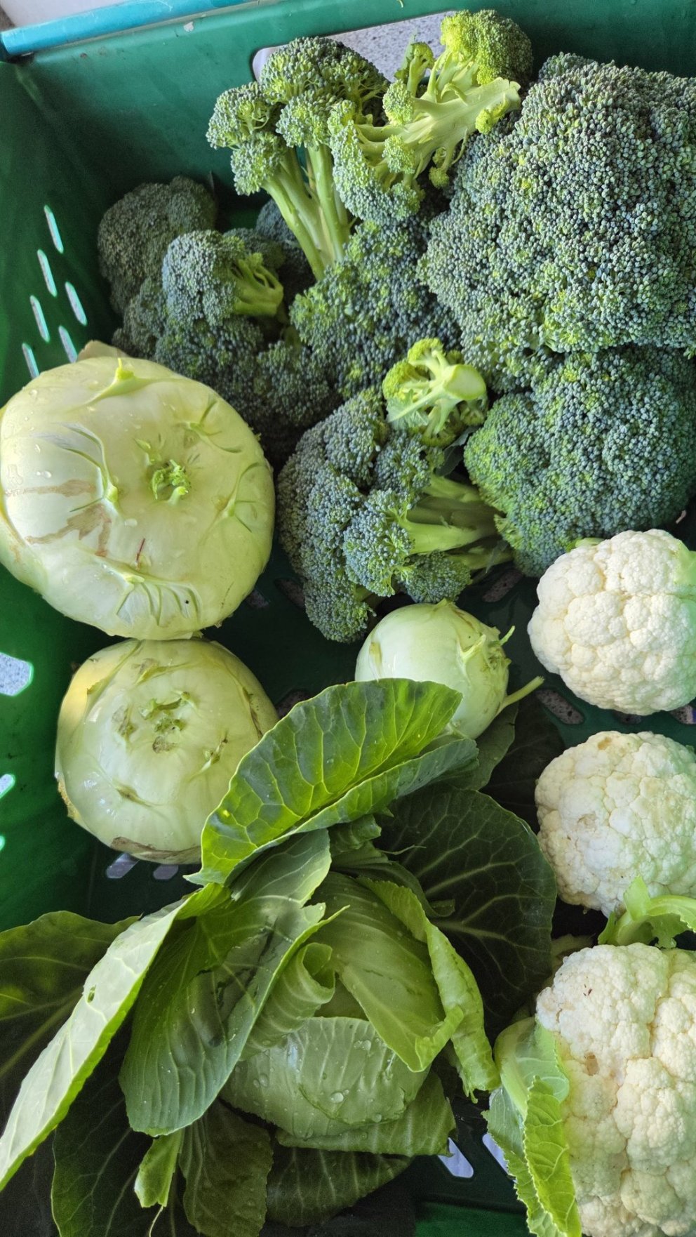 Uppskeran kom virkilega á óvart!