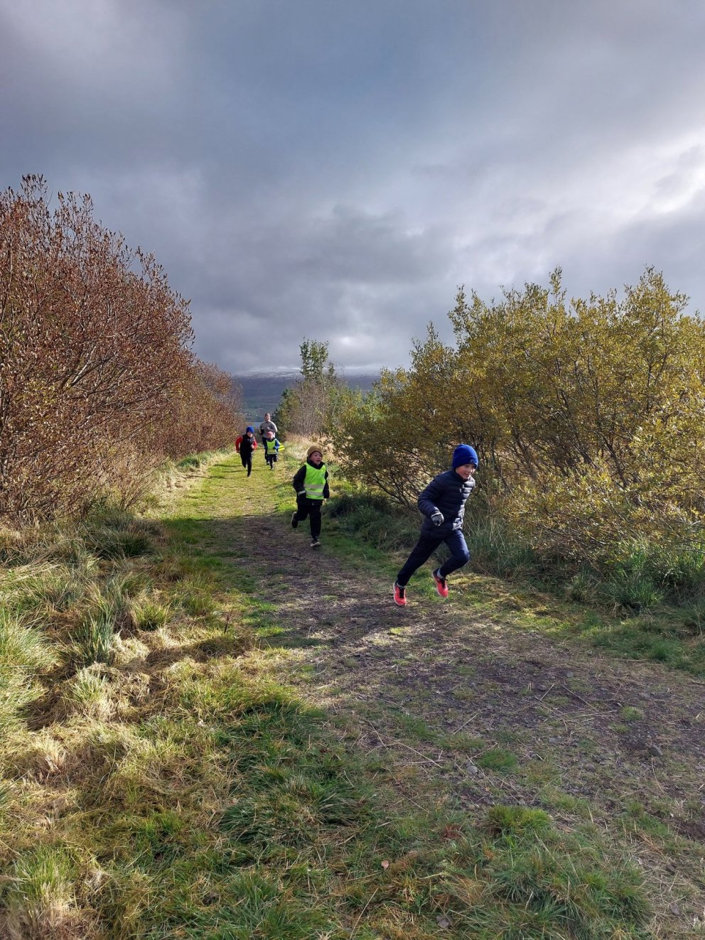 Ólympíuhlaup ÍSÍ í Hálsaskógi