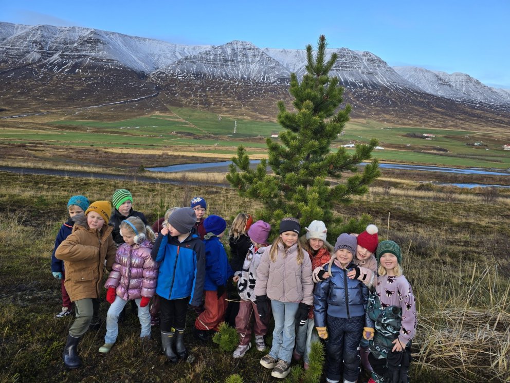 Jólatrjáaleiðangur 1. og 2. bekkjar
