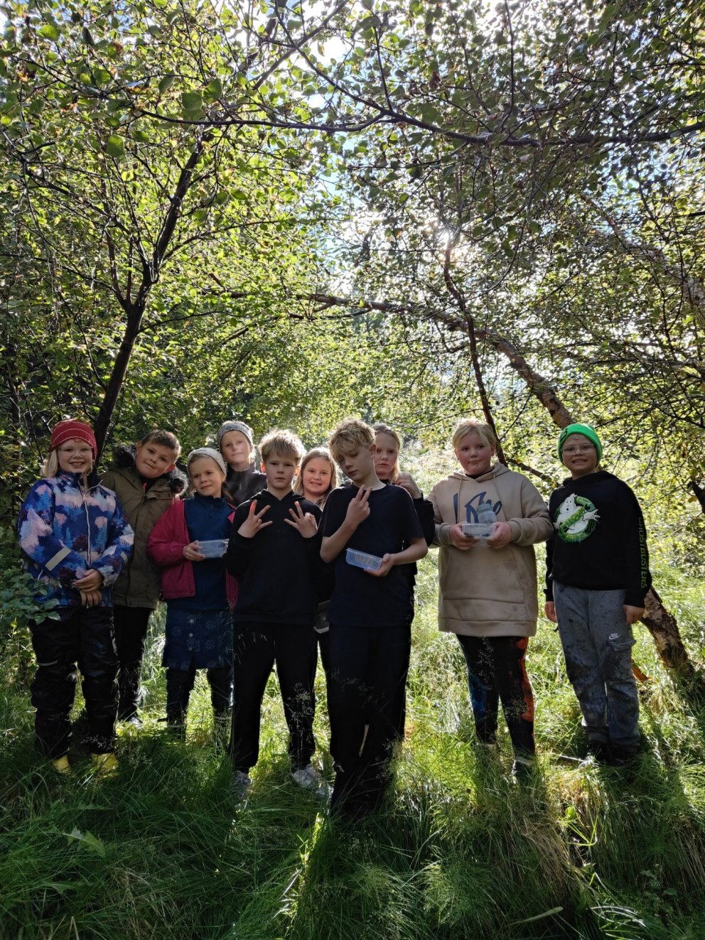 5. bekkur í berjamó