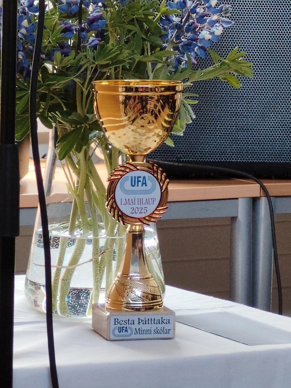 Þátttökubikarinn okkar