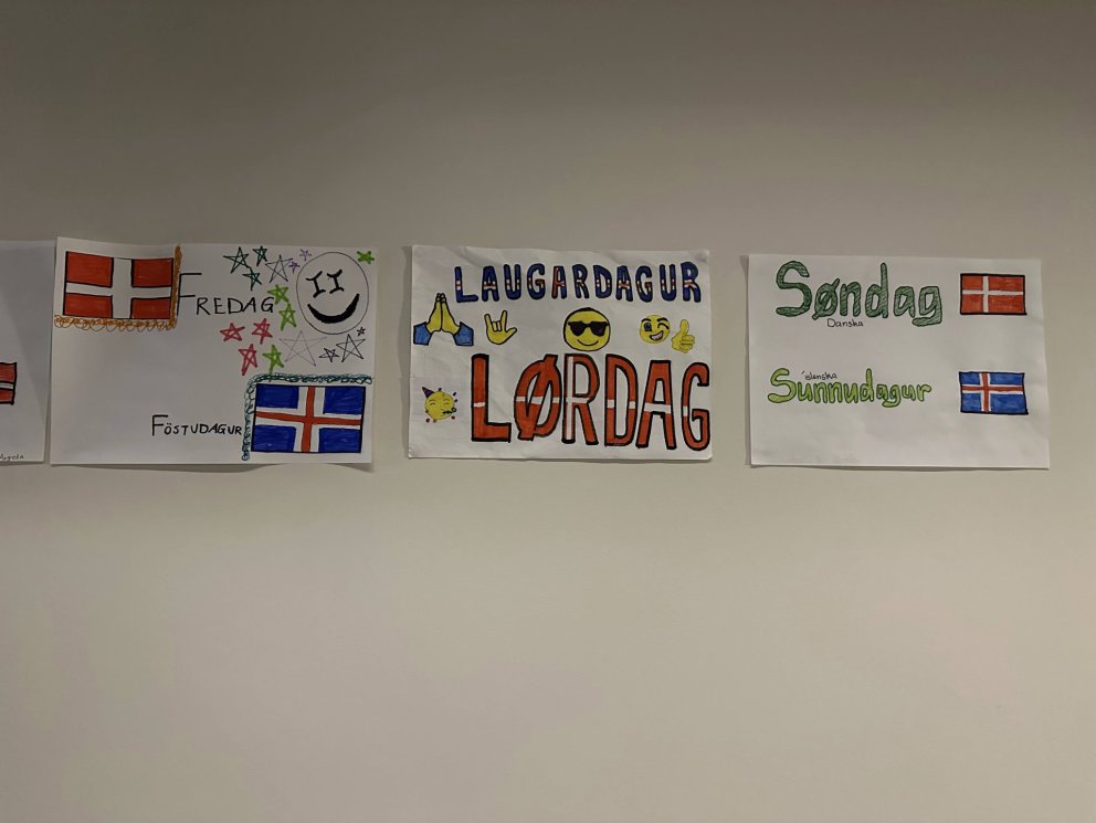 Nýtt ár-nýr námsveggur: Skemmtilegt dönskuverkefni á unglingastigi