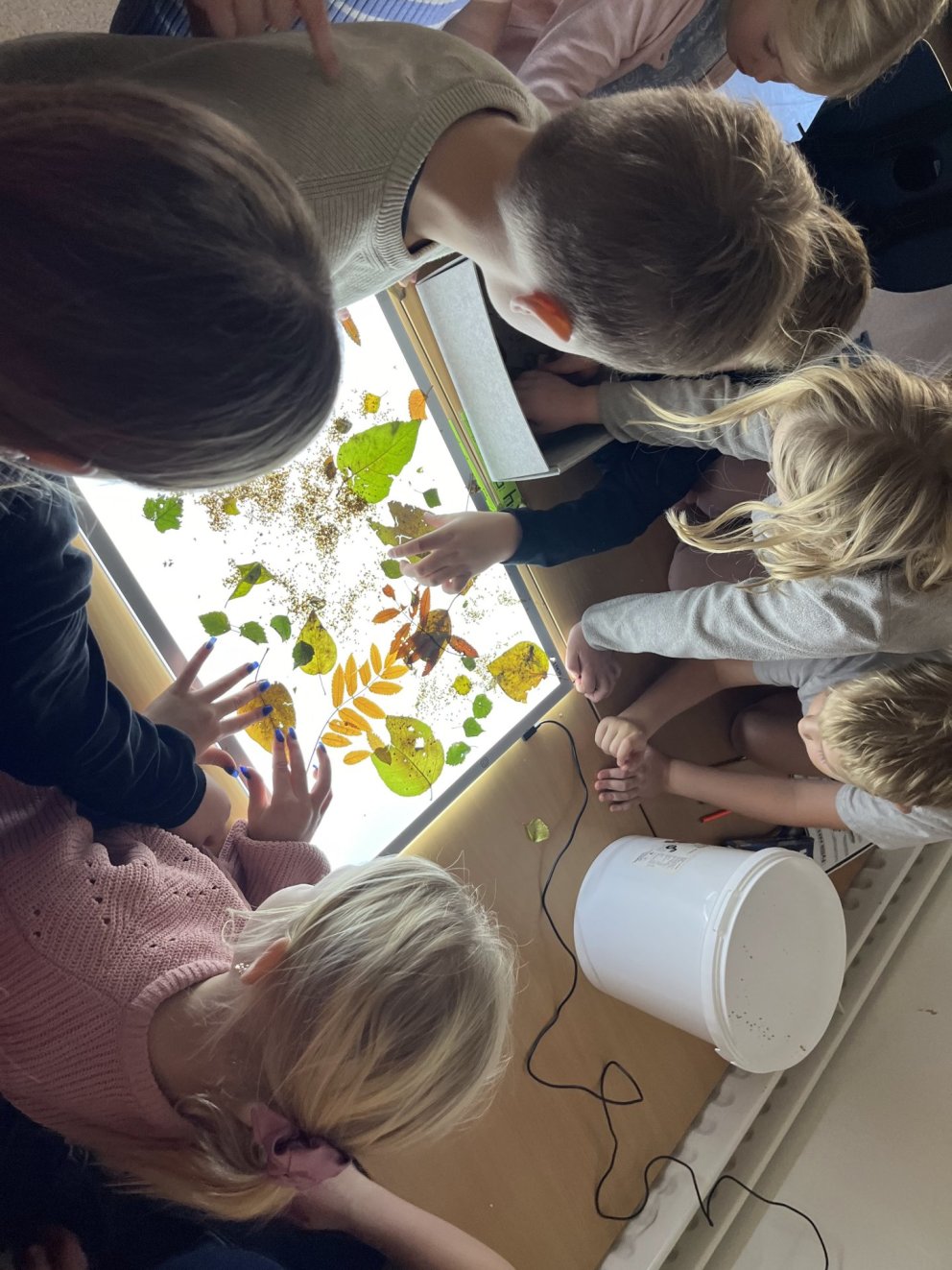 Haustið í útiskóla hjá 3.-4.b.