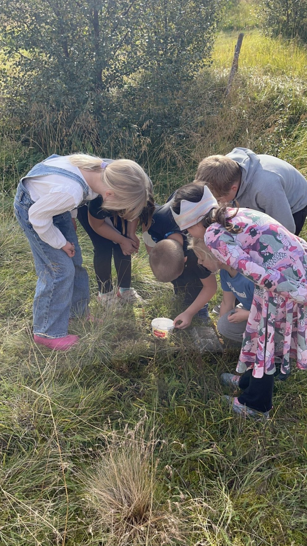 Áhugasamir nemendur