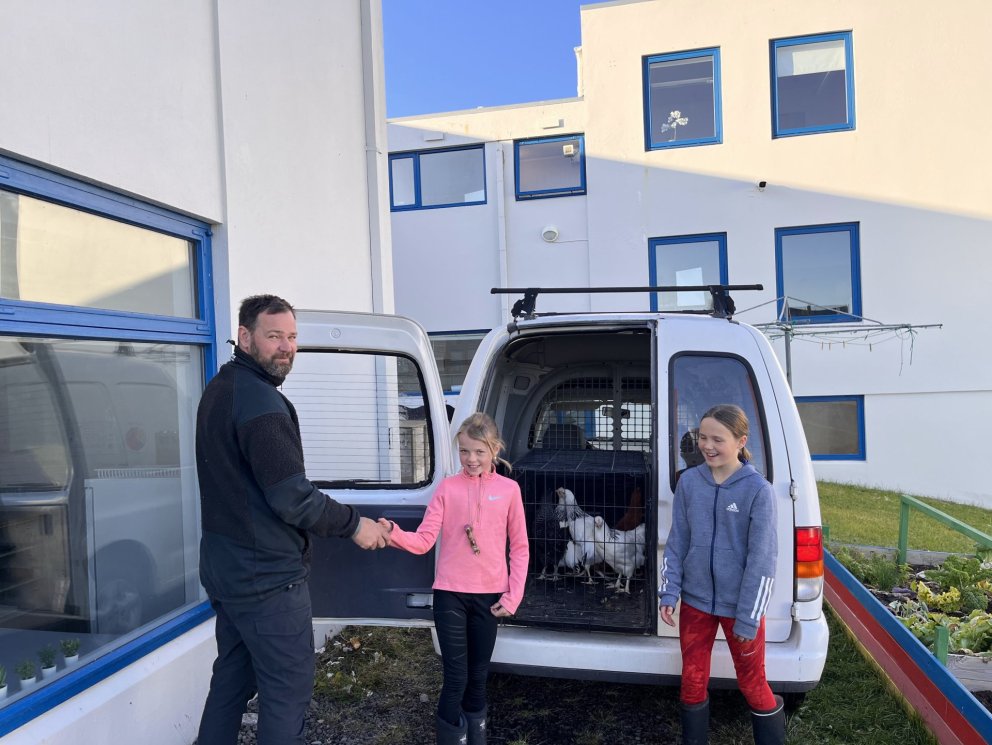 Óli bóndi í Auðbrekku afhendir skólanum hænurnar