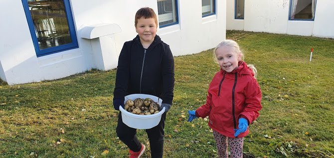 Matjurtirnar, uppskeran og dugnaðarforkar