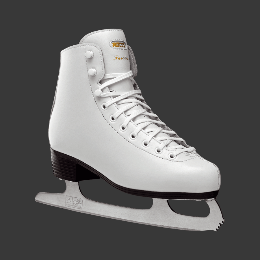 Skauta- og safnadagur