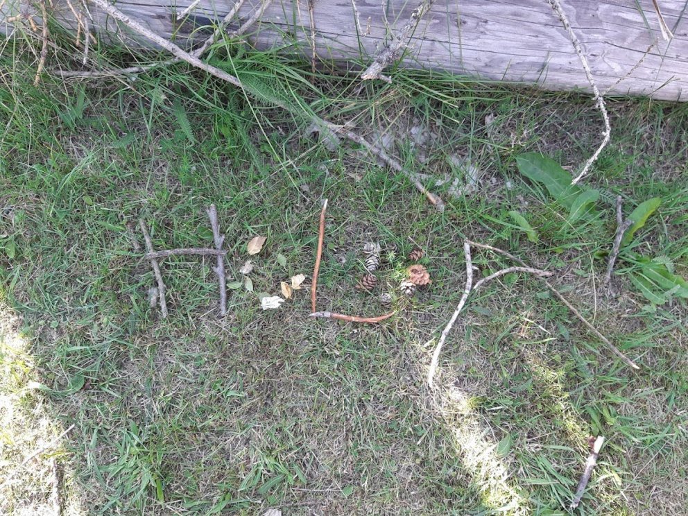 Útiskóli; stafavinna úr greinum og könglum, kartöfluuppskera og berjatínsla