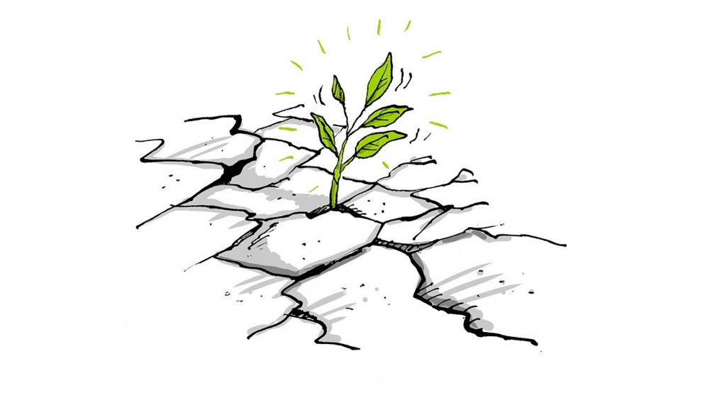 Vistheimt með skólum tilnefnt til íslensku menntaverðlaunanna 2020