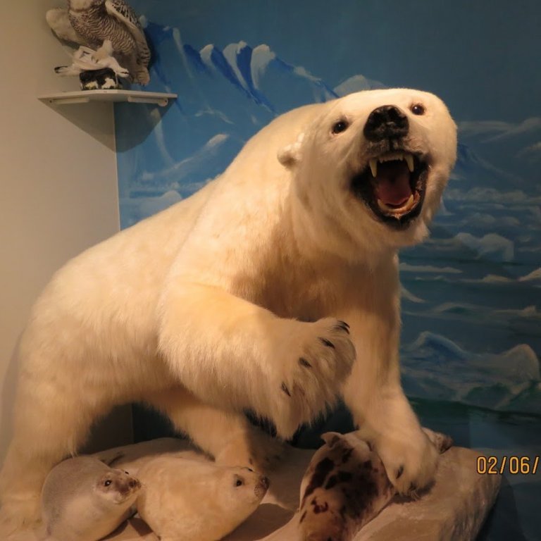 Vorferð skólans til Dalvíkur  - myndir