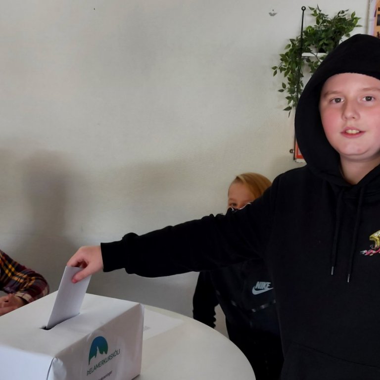 Nemendur 7.-8. bekk taka þátt í Alþingiskosningum á sinn hátt