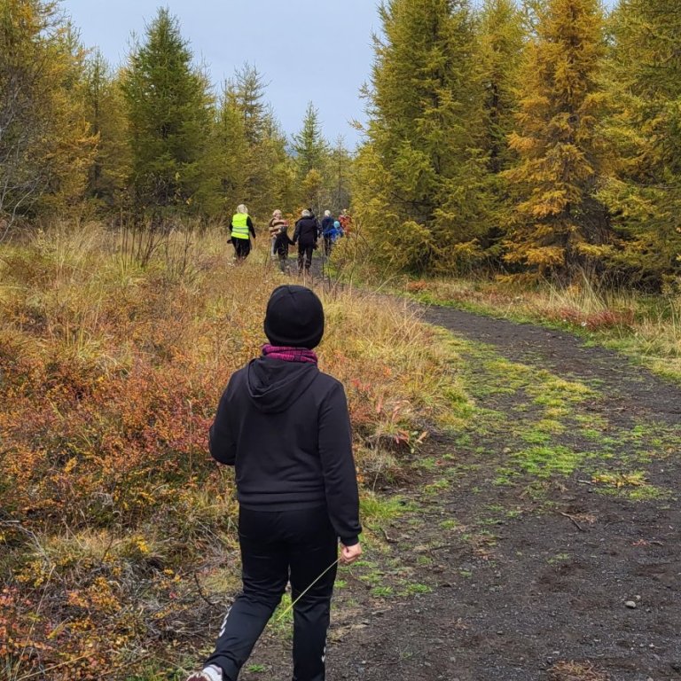 Skólahlaup í Hálsaskógi