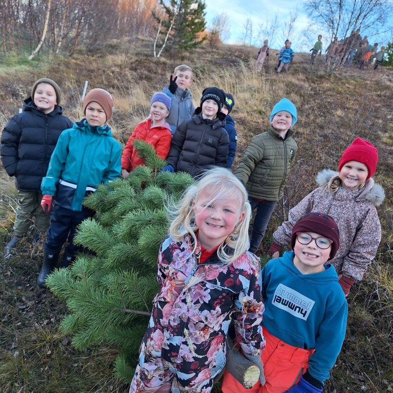 Jólatré sótt í Laugalandsskógi