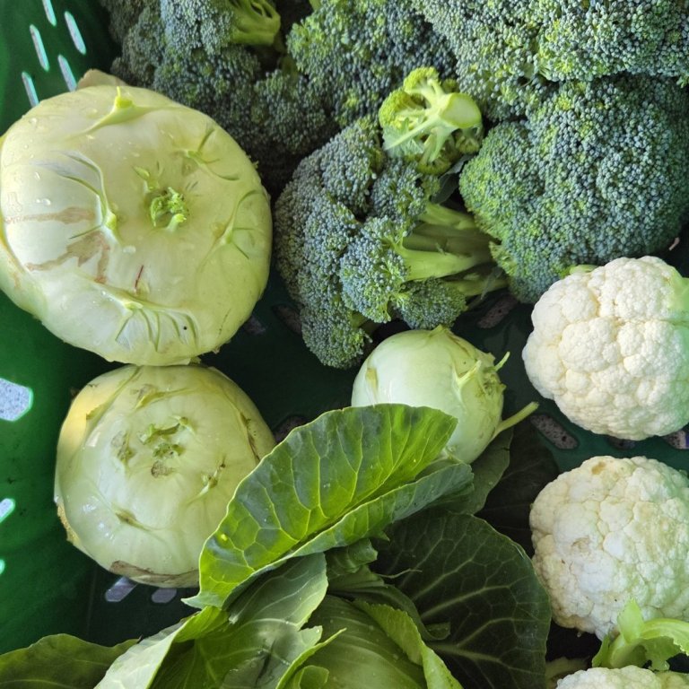 Uppskeran kom virkilega á óvart!