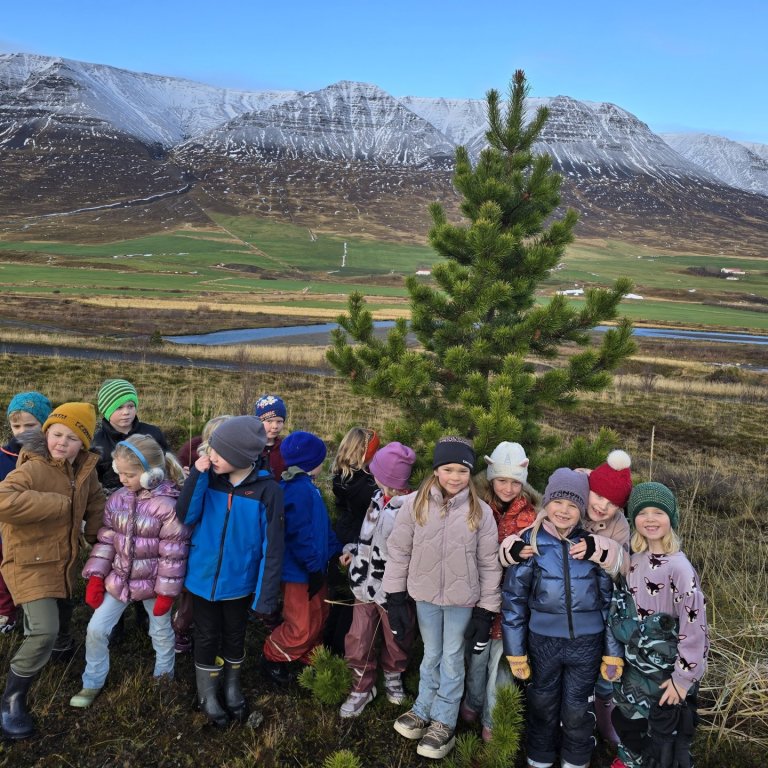 Jólatrjáaleiðangur 1. og 2. bekkjar