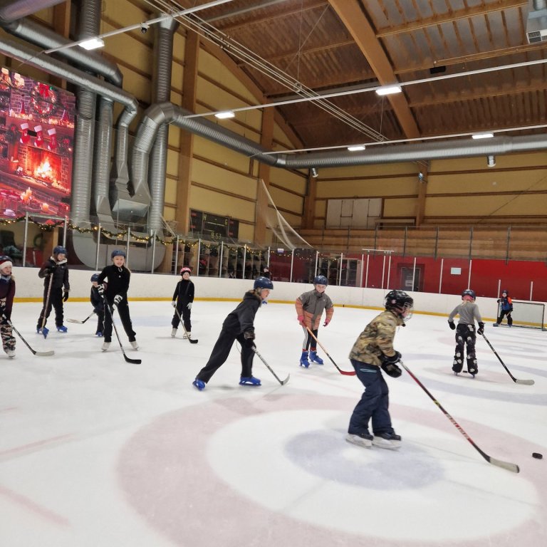 Jólaskautar og jólaföndur