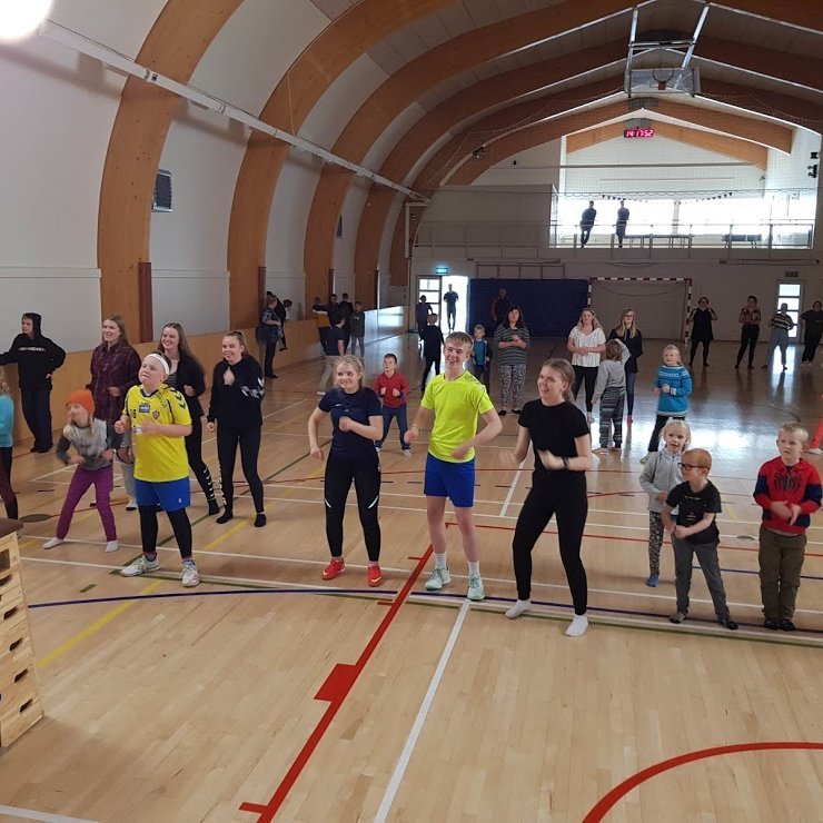 Hreyfivika: Allir dansa - myndband