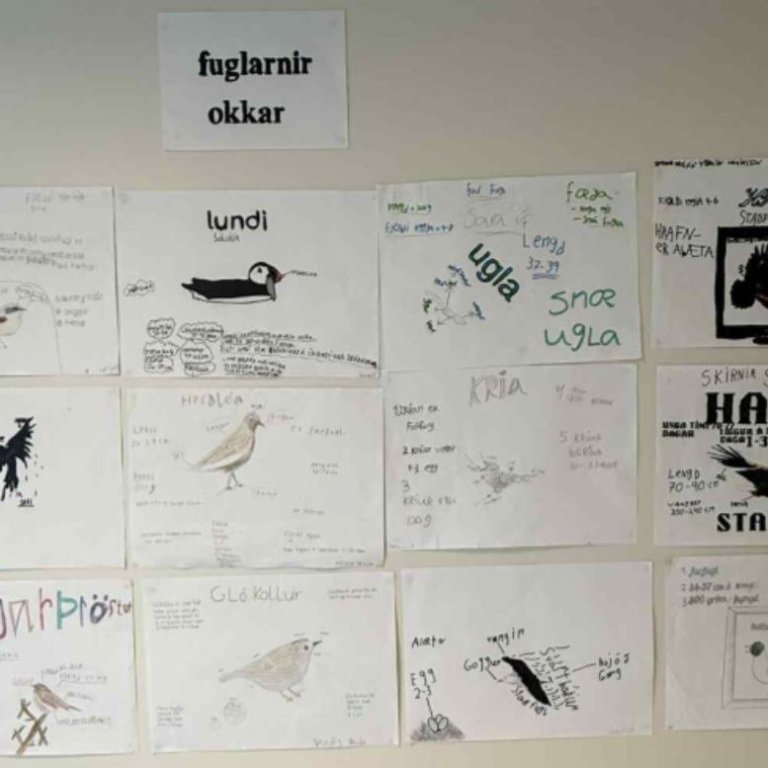 Fuglaverkefni í 5. bekk