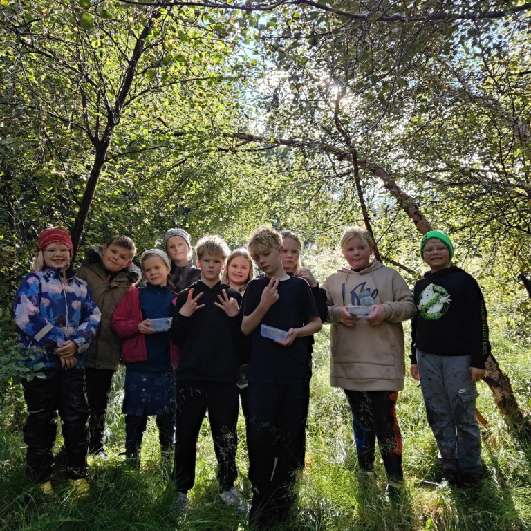 5. bekkur í berjamó