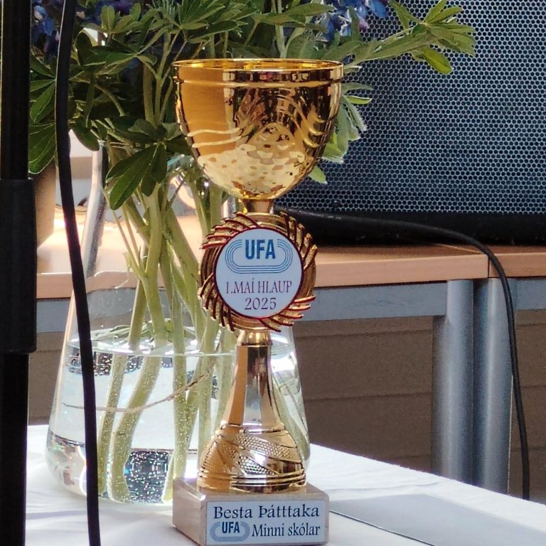 Þátttökubikarinn okkar