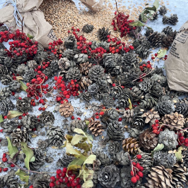 Munum eftir fuglunum