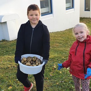 Matjurtirnar, uppskeran og dugnaðarforkar