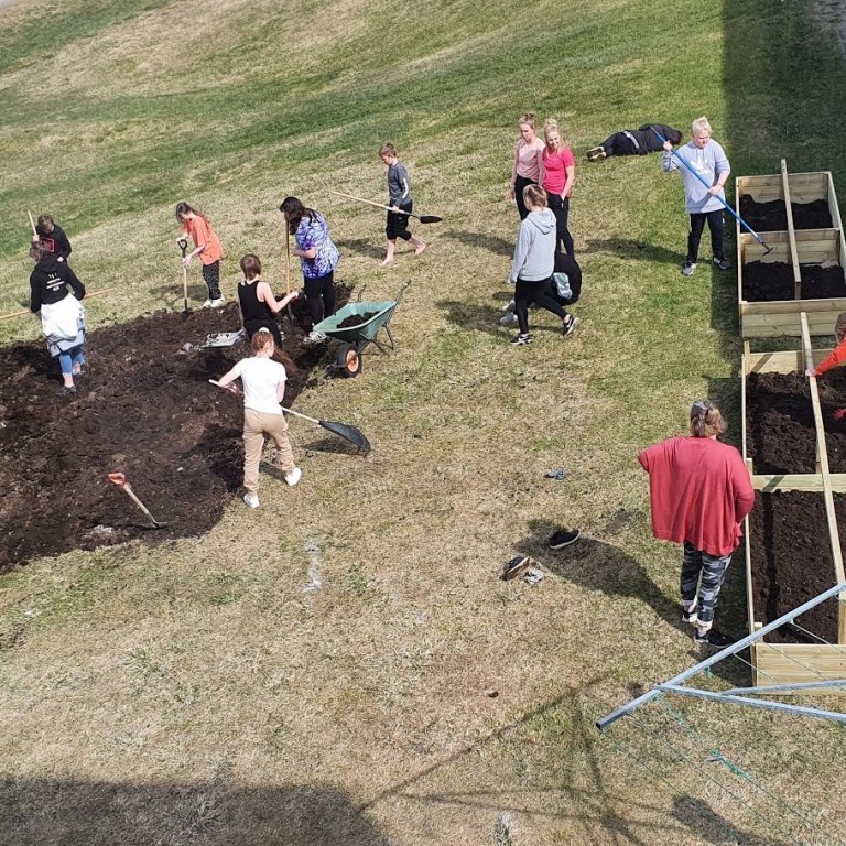 Gerð matjurtargarðs