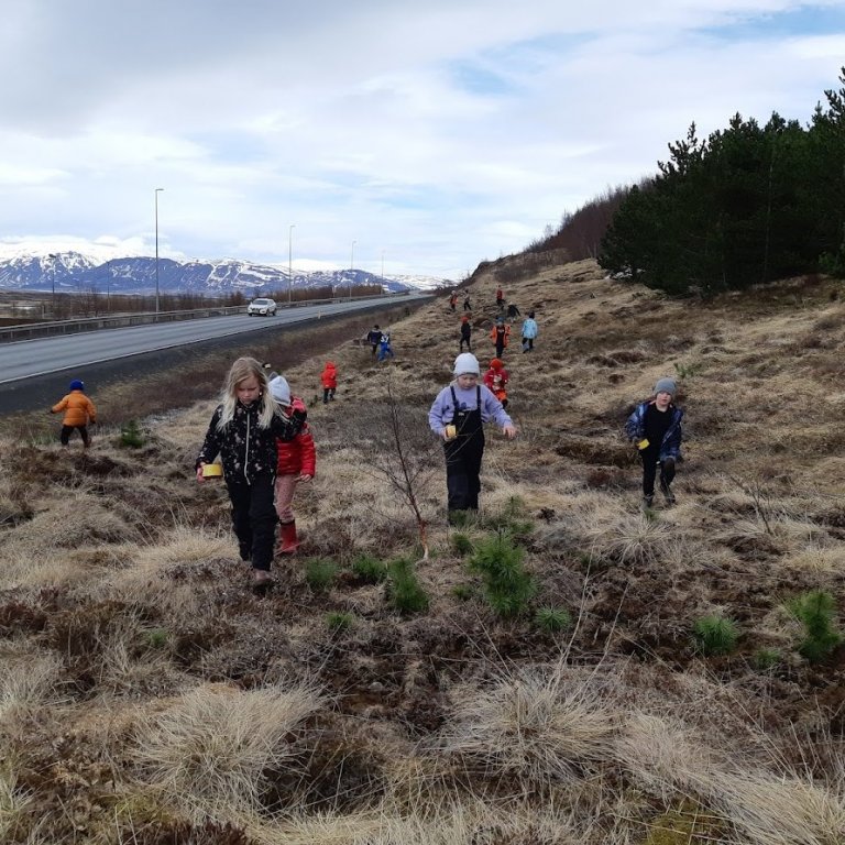 Hreinsum umhverfið okkar - áskorun!