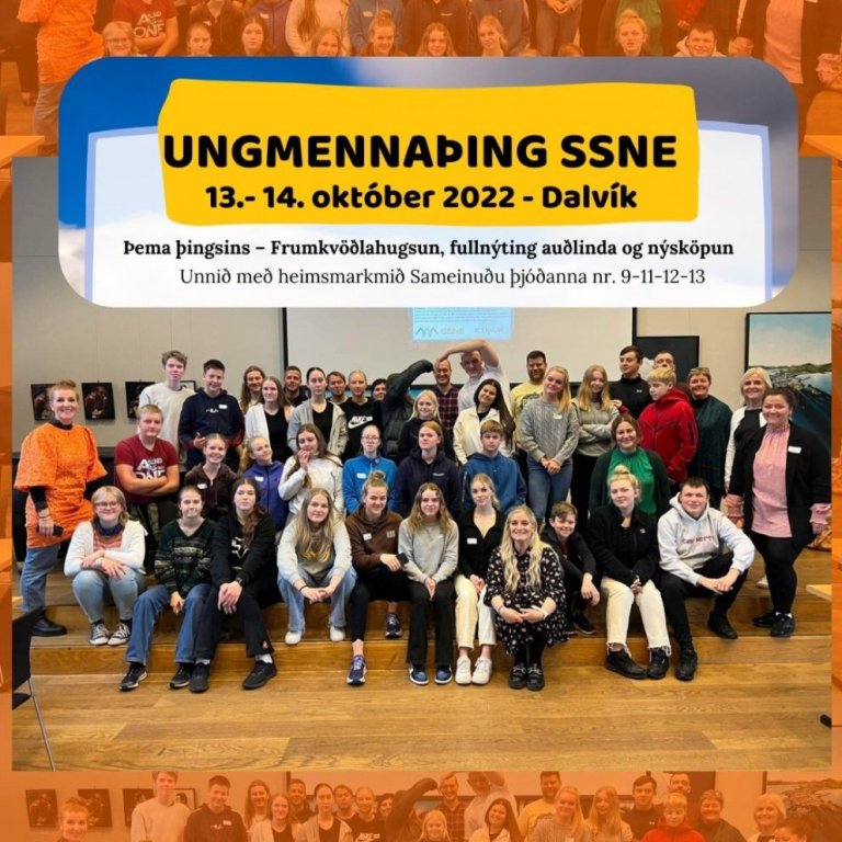 Þrír nemendur á Ungmennaþingi SSNE 2022