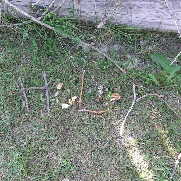 Útiskóli; stafavinna úr greinum og könglum, kartöfluuppskera og berjatínsla