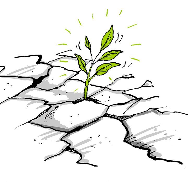 Vistheimt með skólum tilnefnt til íslensku menntaverðlaunanna 2020